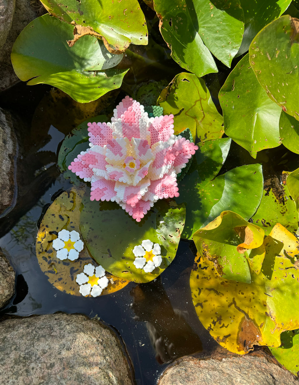 3D Åkande